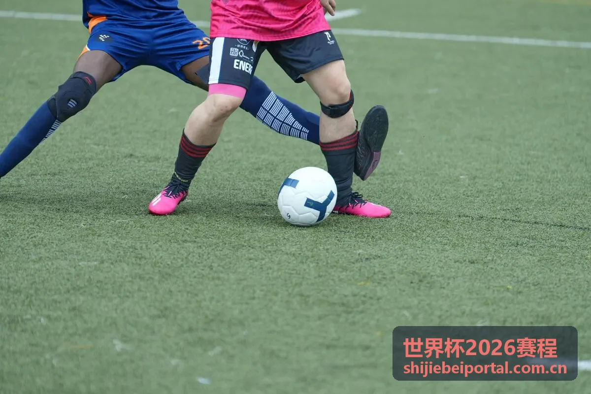 世界杯2026赛程 - 巴西队
